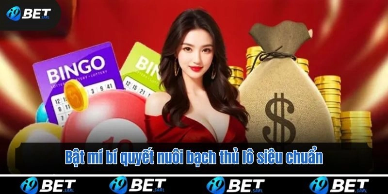 Bật mí bí quyết nuôi bạch thủ lô siêu chuẩn cho newbie
