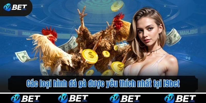 Các loại hình đá gà được yêu thích nhất tại i9bet