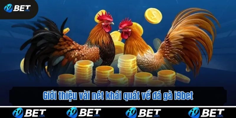 Giới thiệu vài nét khái quát về đá gà i9bet