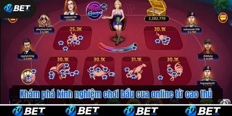 Khám phá kinh nghiệm chơi bầu của online từ cao thủ