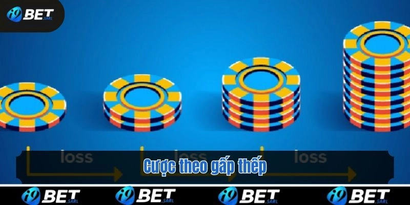 Cược theo gấp thếp