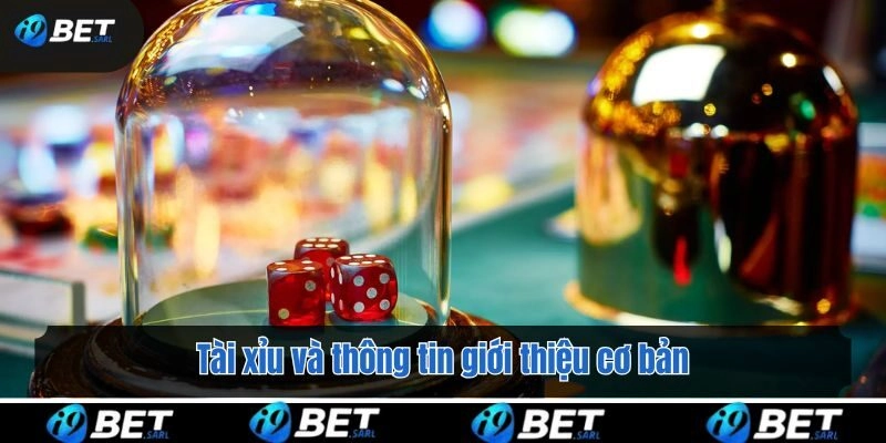 Tài xỉu và thông tin giới thiệu cơ bản